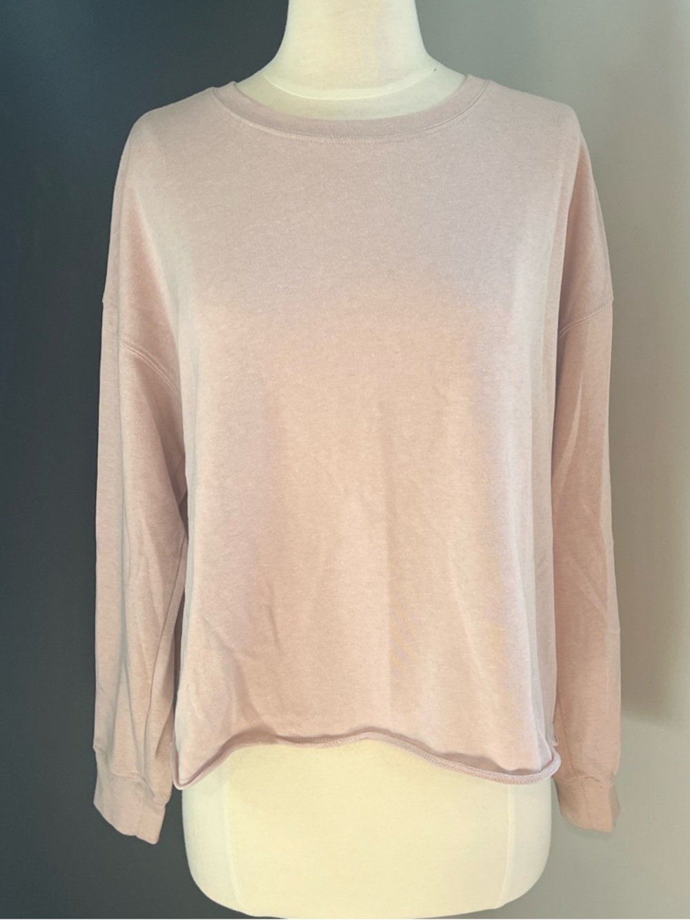 Splendid Eco Soft Blush Pullover Sweatshirt Lightweight Crewneck Small